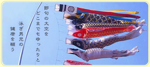 鯉のぼり